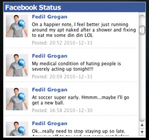 Facebook Status on Personal Blog Image of Facebook Status on Personal Blog